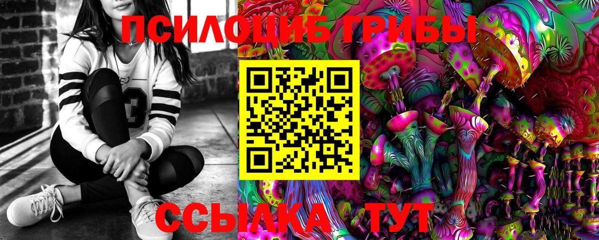 Псилоцибиновые грибы мицелий Скопин