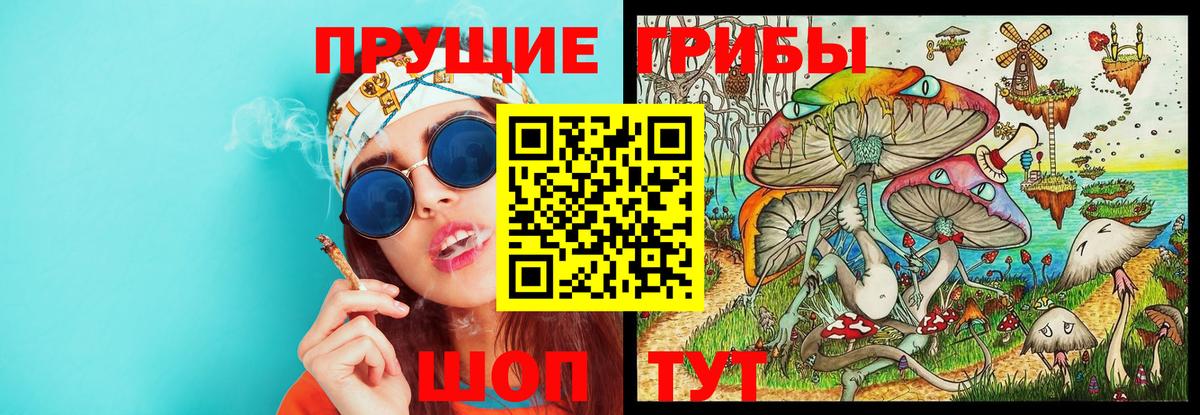 Псилоцибиновые грибы прущие грибы  Вход с VPN  Скопин  Галлюциногенные грибы мицелий 